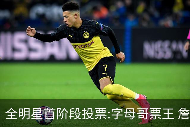 全明星首阶段投票:字母哥票王 詹姆斯西部票王